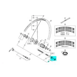 Shimano Cone Droit Moyeu Arrière Shinamo WH-RS11/RS20-A/RS30/RS80 - Y4EW98080